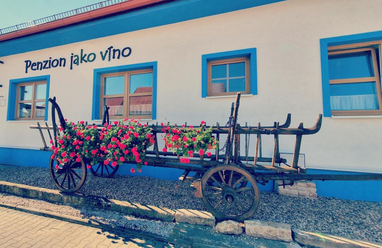 Penzion Jako Vino Bulhary Extérieur photo